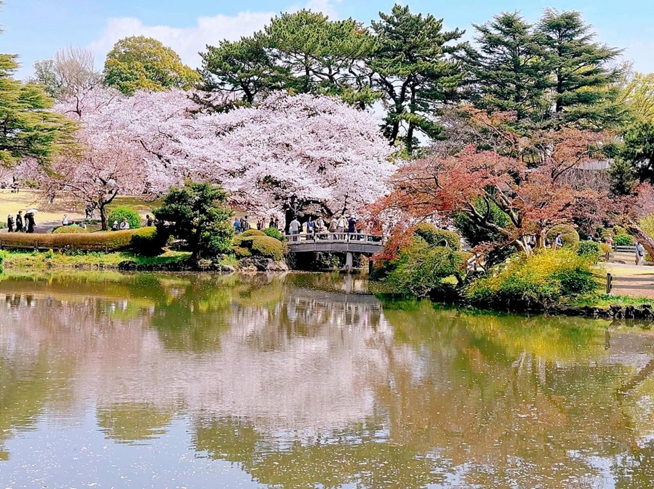 新宿御苑の庭園風景
